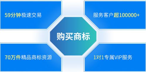 商標(biāo)轉(zhuǎn)讓流程解析與知識(shí)產(chǎn)權(quán)服務(wù)優(yōu)勢(shì)